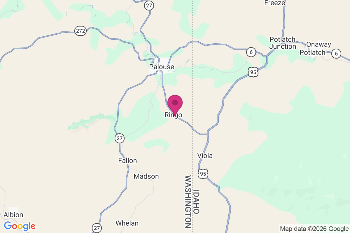 Ringo map