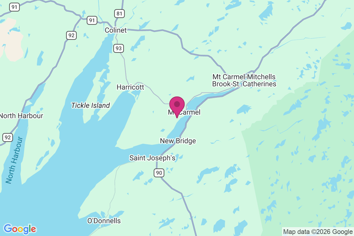 Mount Carmel-Mitchells Brook-St. Catherines map