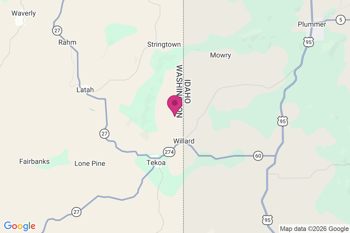 Wallner map