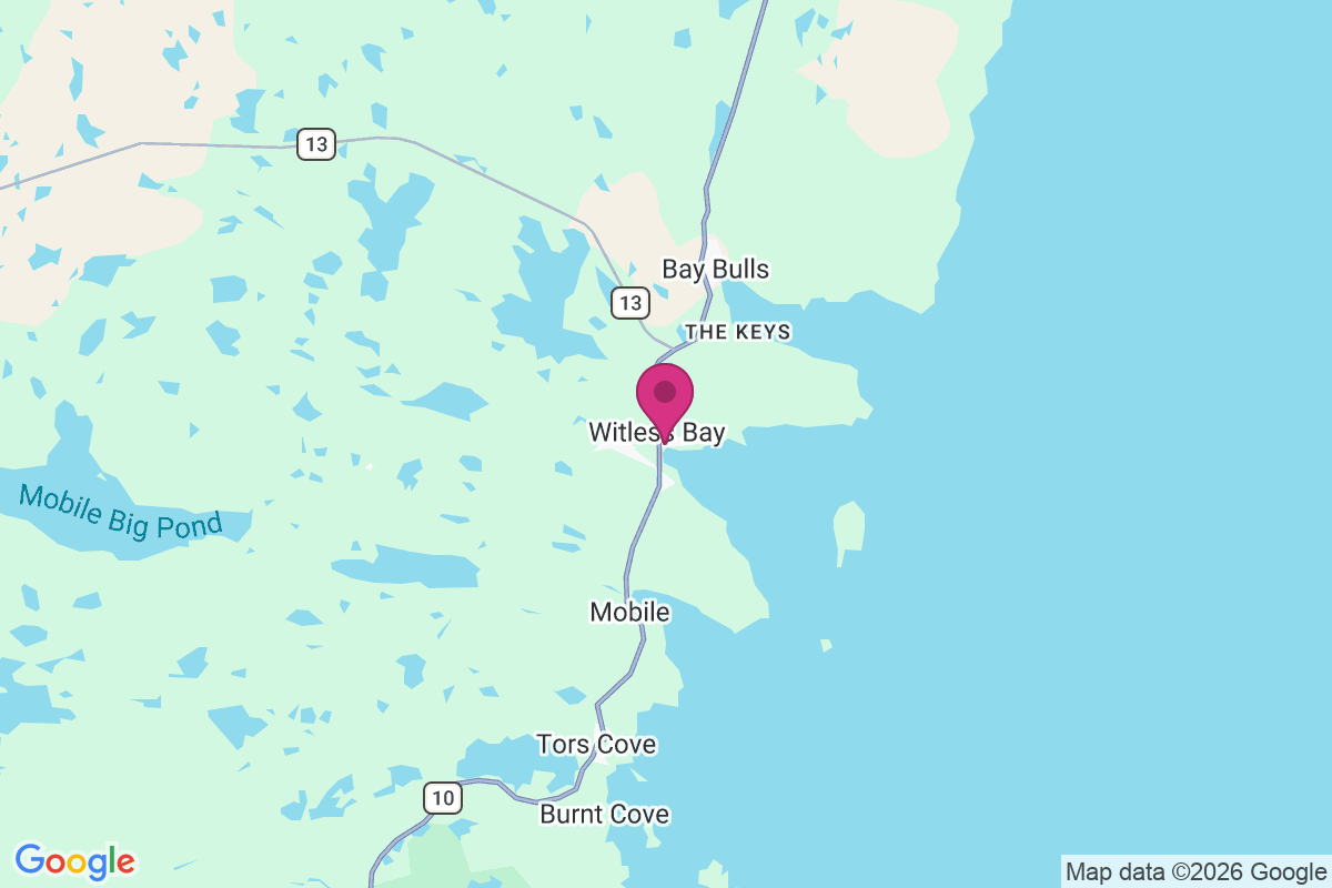 Witless Bay map