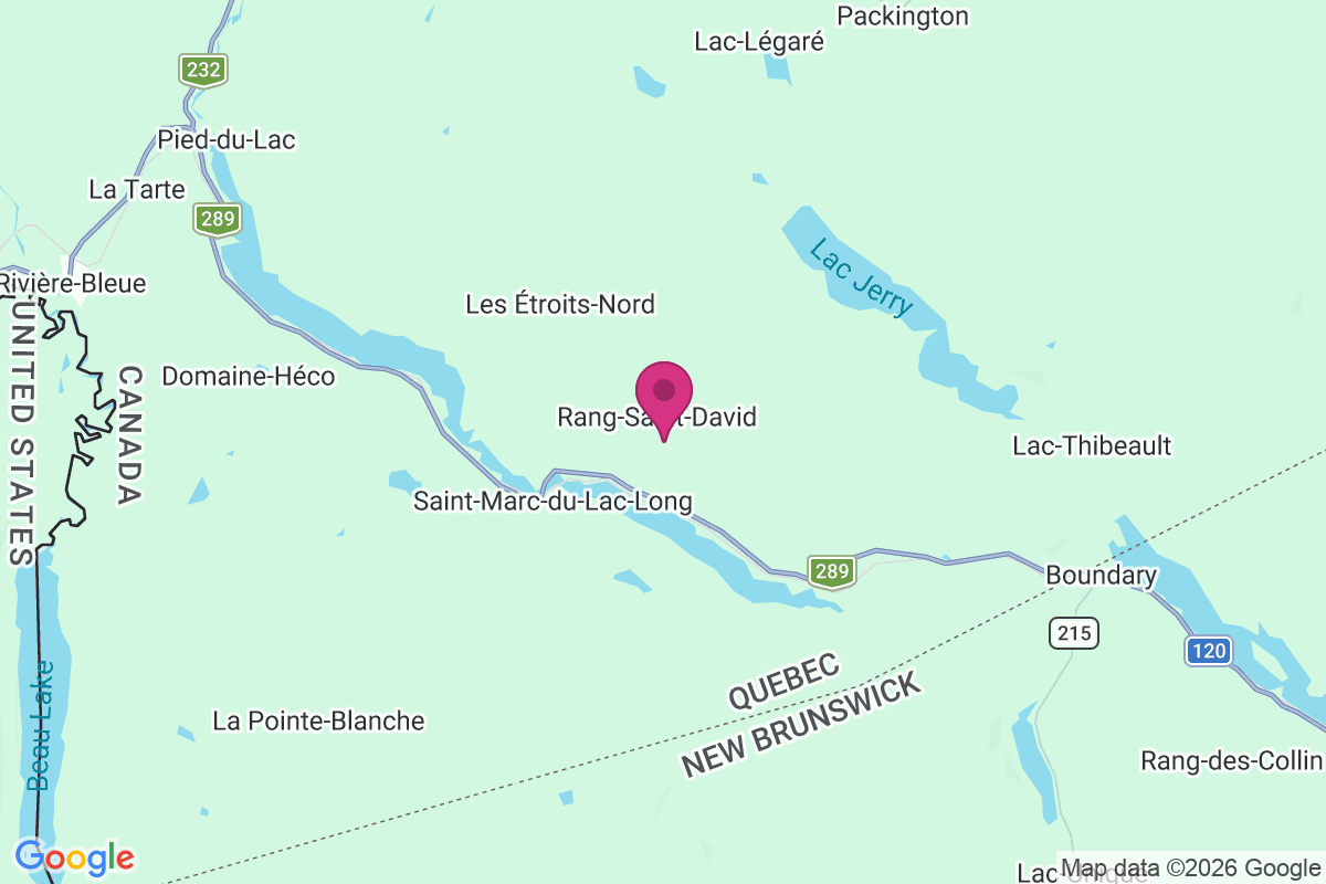 Saint David map