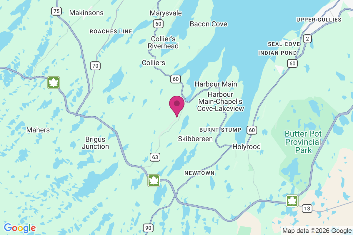 Avondale map