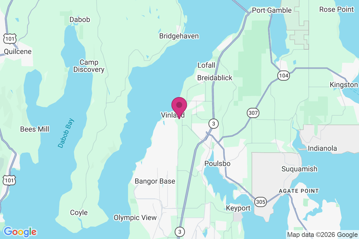 Vinland map