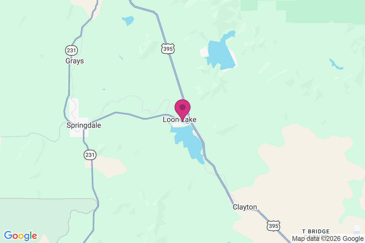Loon Lake map