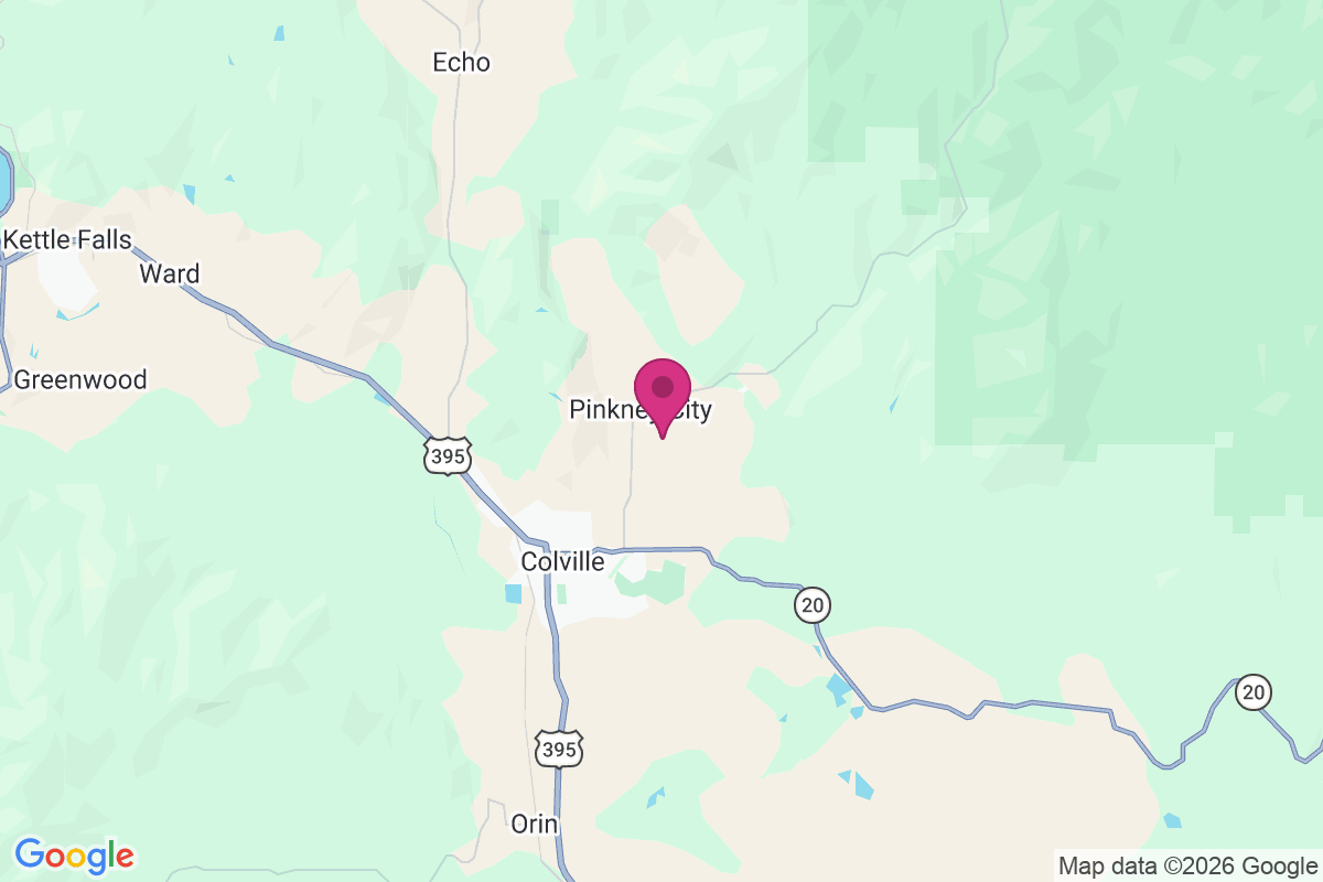 Pinkney City map
