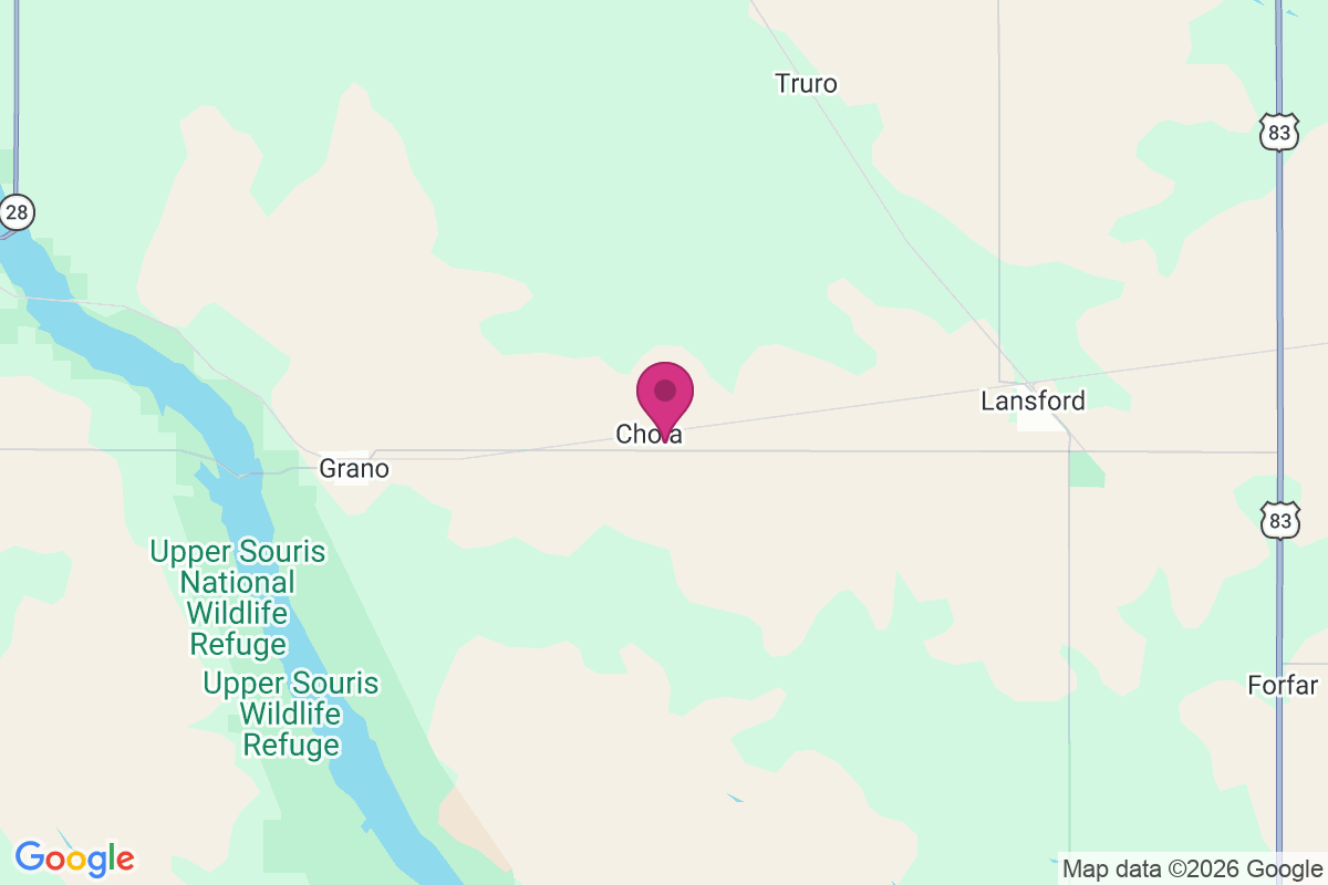 Chola map