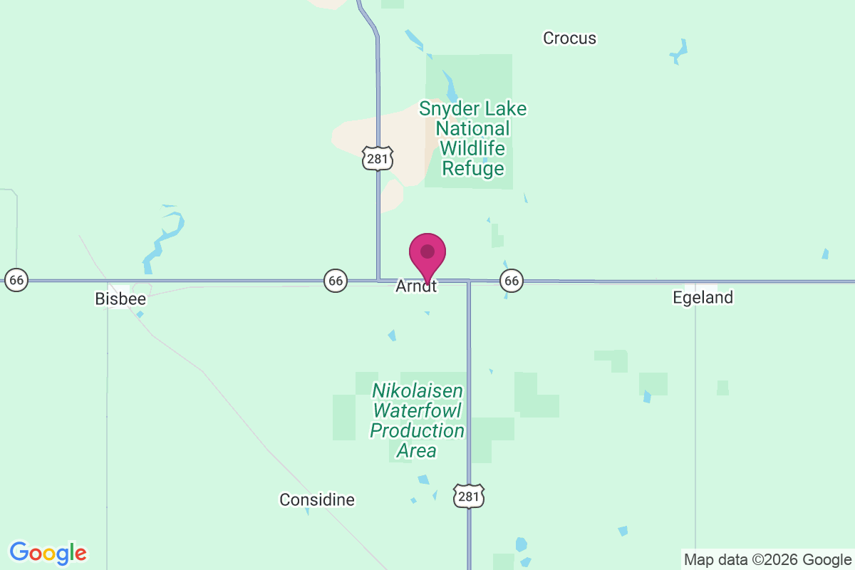 Arndt map