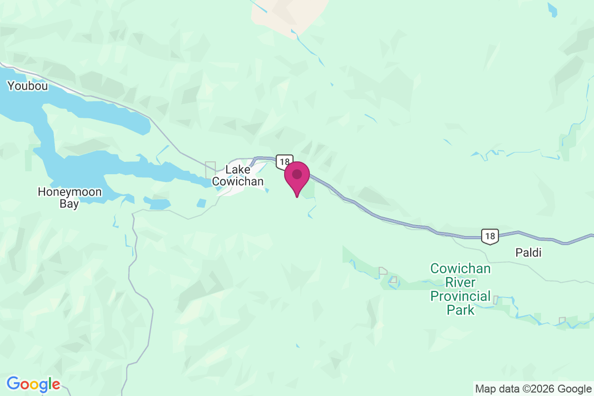 Lake Cowichan map