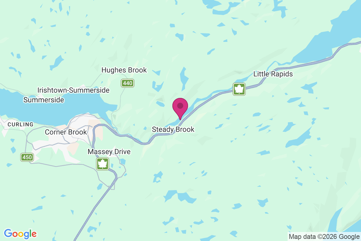 Steady Brook map