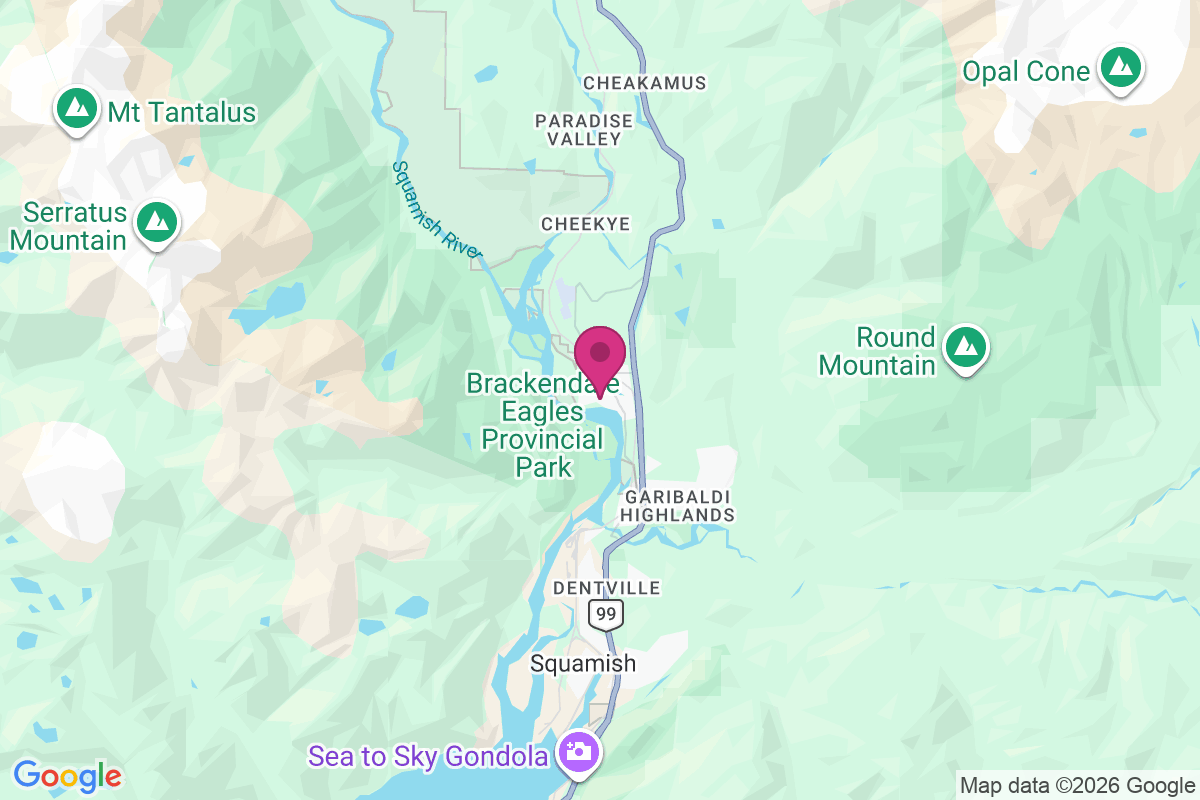 Brackendale map