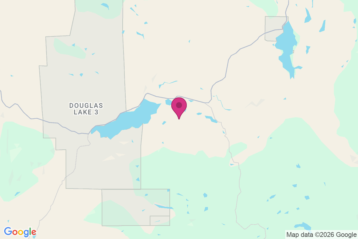 Douglas Lake map