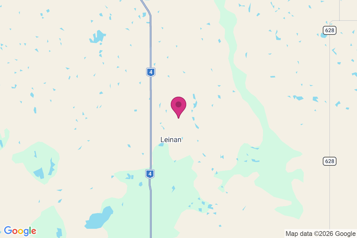 Leinan map