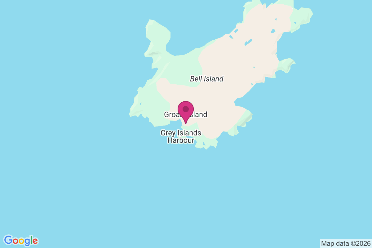 Grey Islands Harbour map