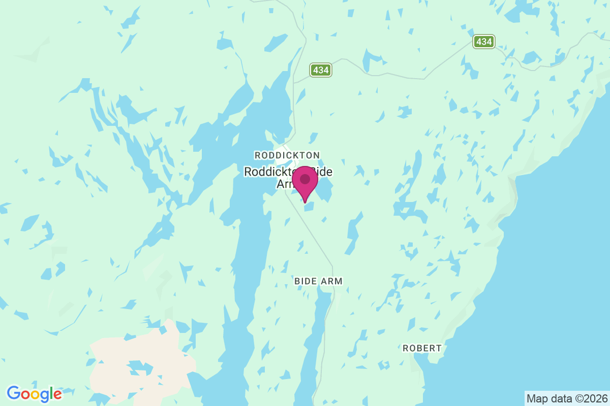 Roddickton map