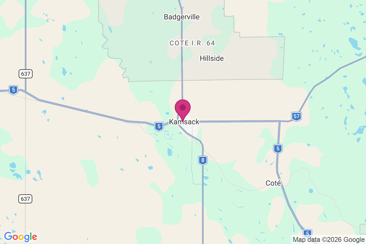 Runnymede map