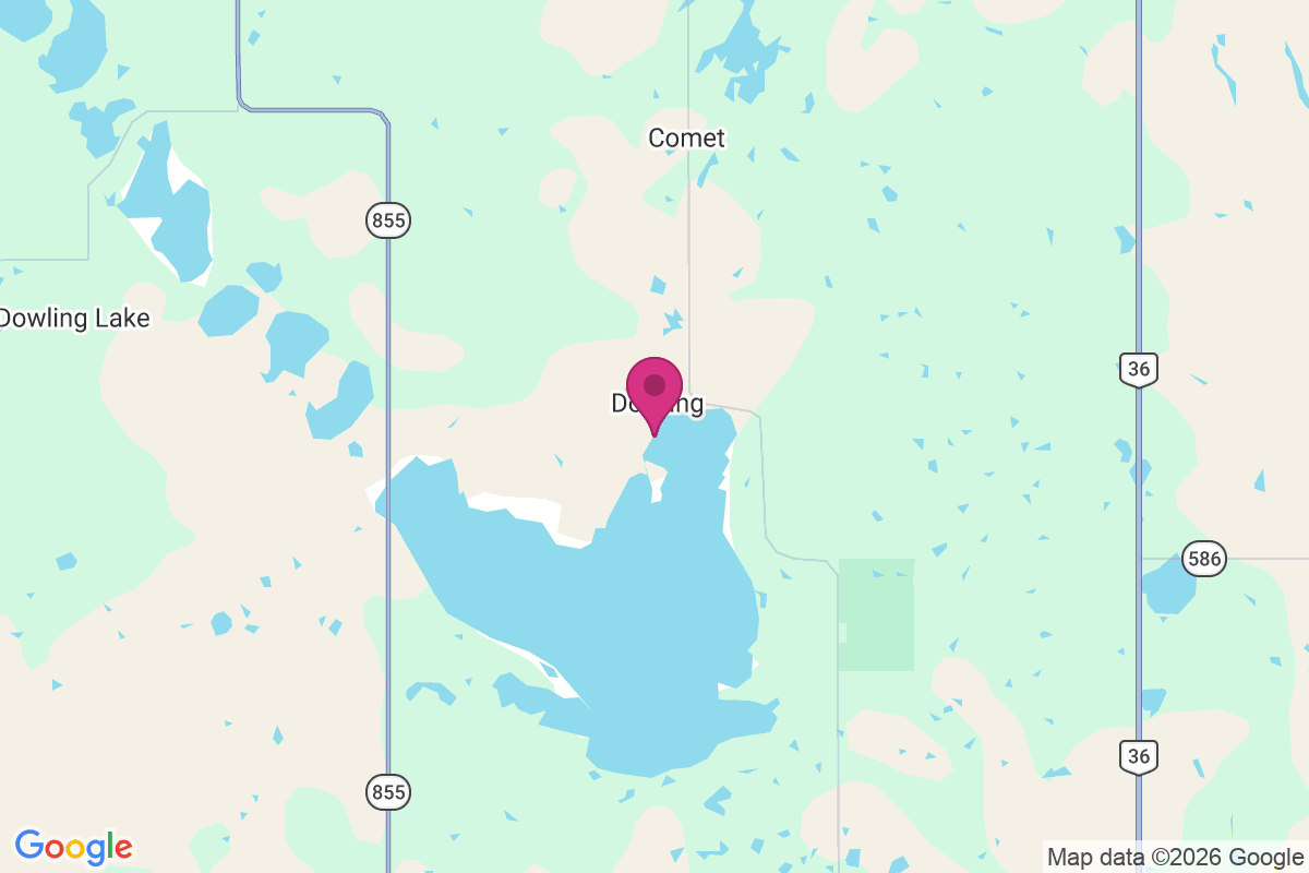 Dowling map