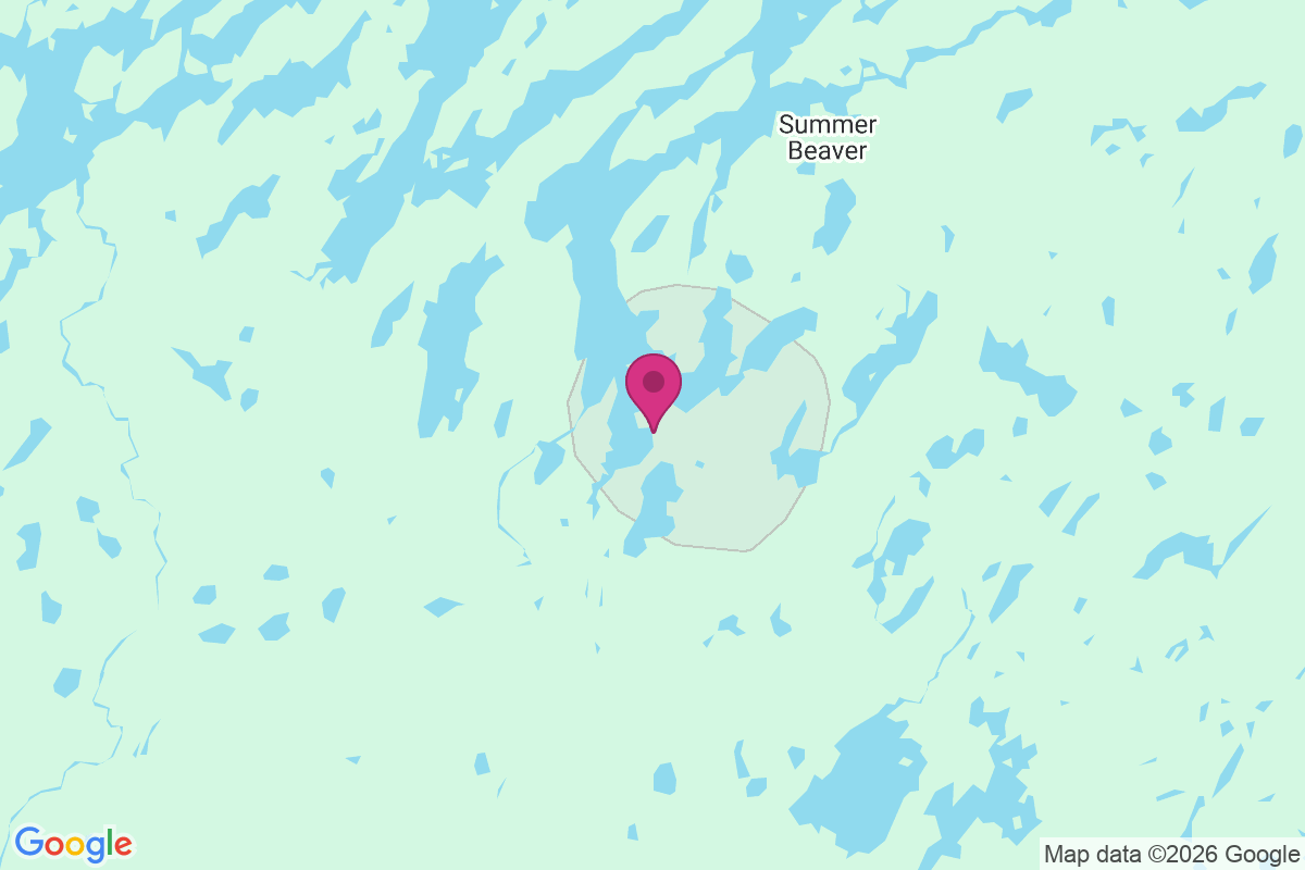 Pickle Lake map