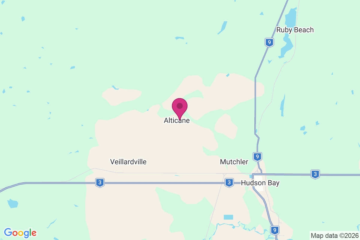 Alticane map