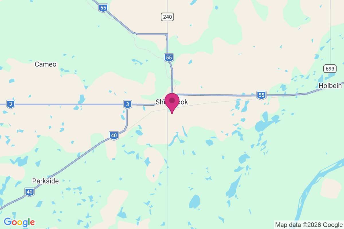 Holbein map