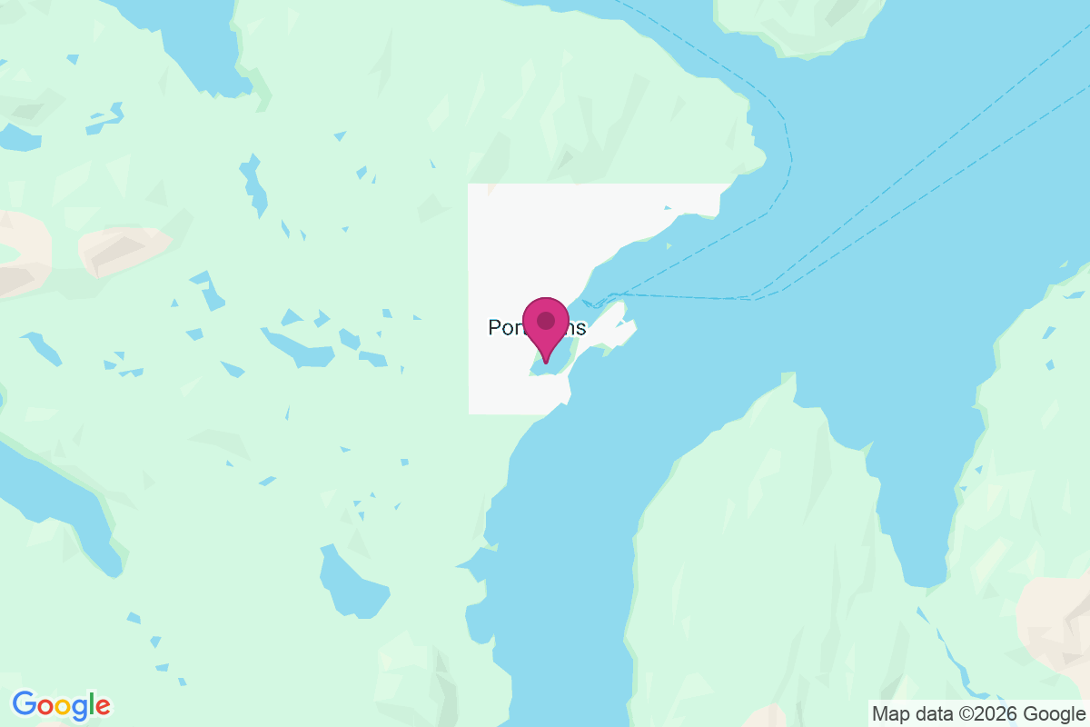 Port Lions map