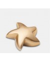 Brushed Gold (Keepsake Star)