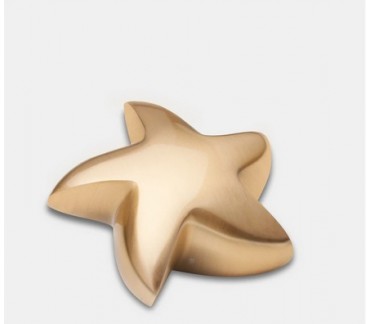 Brushed Gold (Keepsake Star)