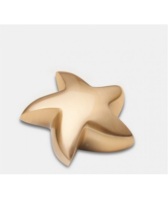 Brushed Gold (Keepsake Star)