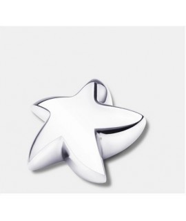 Bright Silver (Keepsake Star)