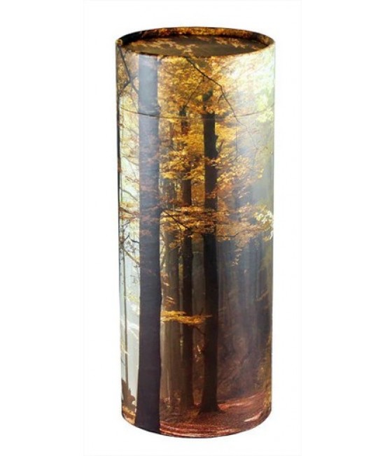 Autumn Woods (Adult Scattering Tube)